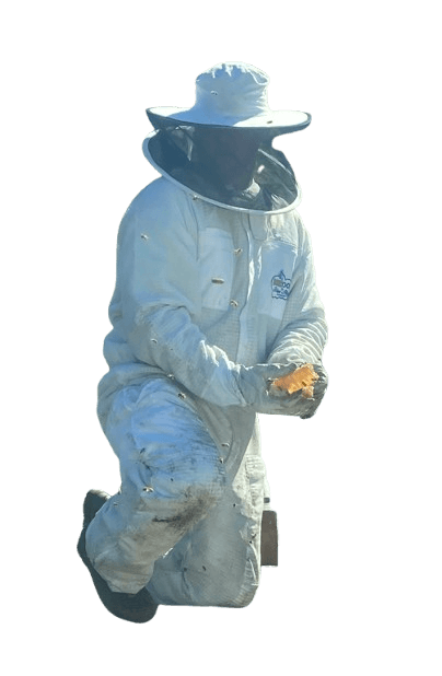 Mitch Tynanes kneeling in a bee suit, holding a piece of honeycomb