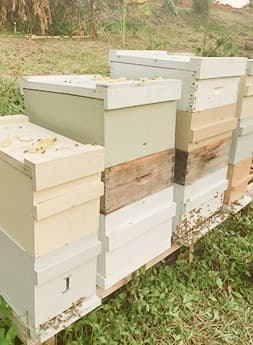 Rescued hive boxes stacked in a green field